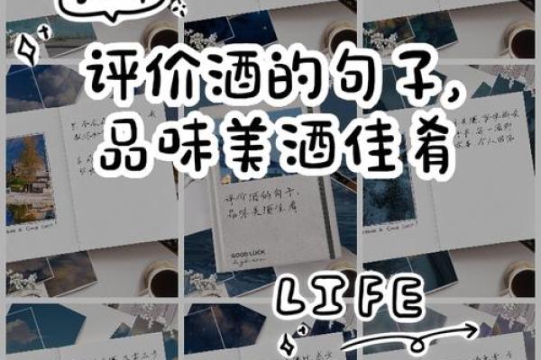 嗜酒如命：品味美酒的世界与健康饮酒的艺术