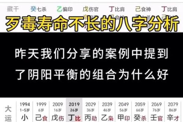 81岁属什么命：解读2023年的命理奥秘与生活智慧
