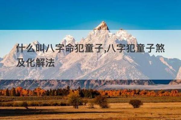 深入探讨童子命的忌讳与意义：如何理解命理的深层次