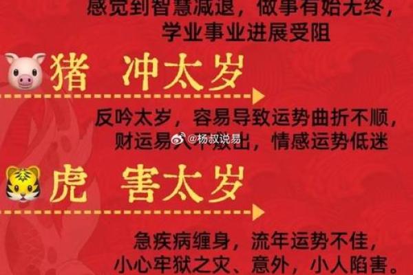 2014年猪年：五行之中乙未年，揭示命运与性格的奥秘