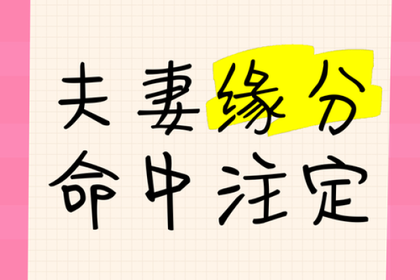 命理学视角下的夫妻关系：缘分、和谐与命定的深度探讨