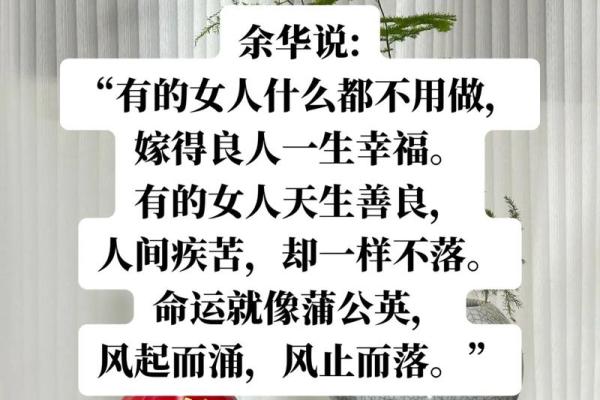 没有下巴的女人：一种命运的探索与自我救赎