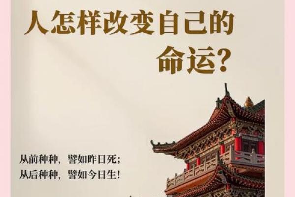 探寻虎年命理中的秘密：2010年出生的你是否会拥有不凡命运？