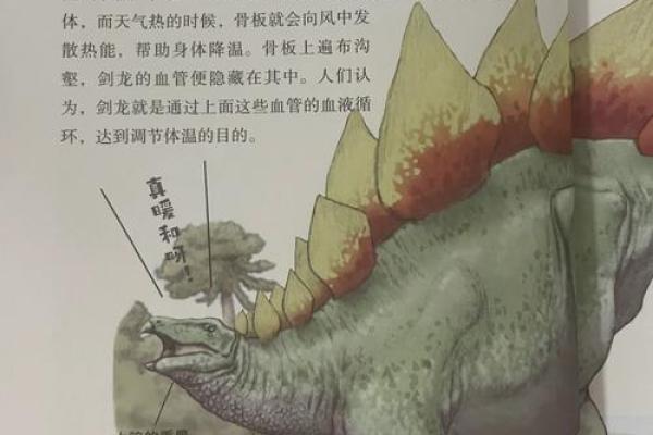探索恐龙的神秘世界：它们的生活与灭绝之谜
