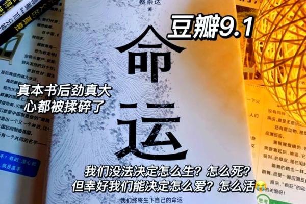 探寻命运的奥秘：2005年7月14日出生者的命运解析