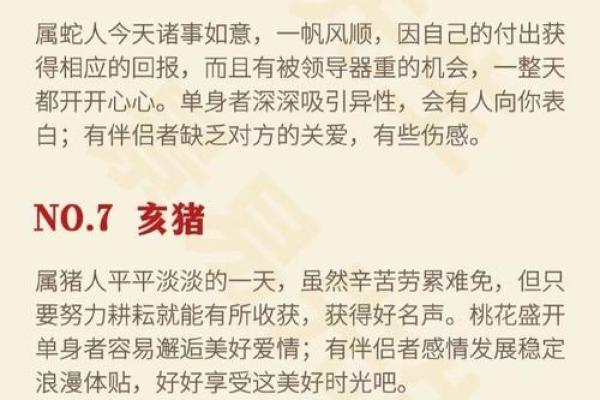 94年出生的命运解析：你的生肖与运势