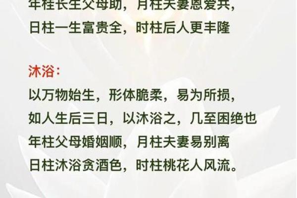 揭秘背宽男人的命运：潜藏于身形背后的性格与命理