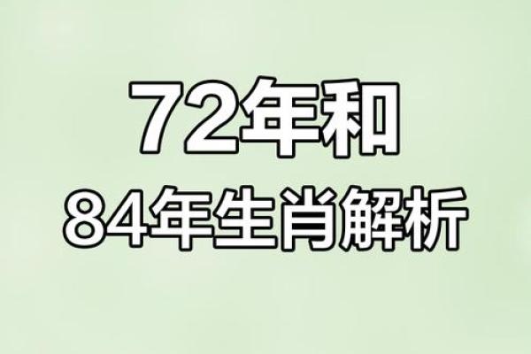 七二年属鼠，探秘其命运与性格的奥秘