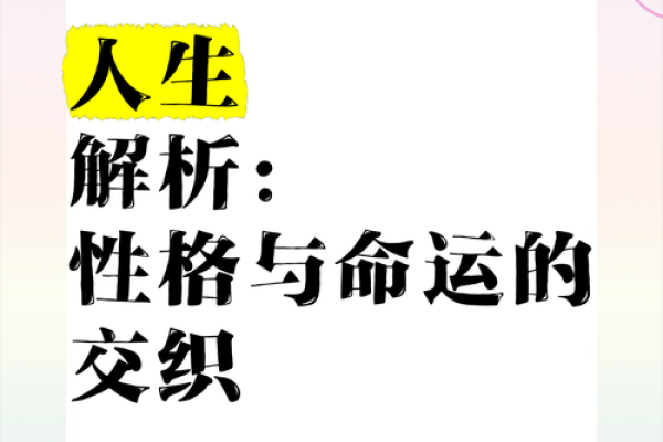 探讨女命无子之缘：不一样的人生选择与命运解析