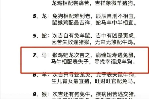 1971年属狗人命运解析：解锁他们的生命密码与人生智慧