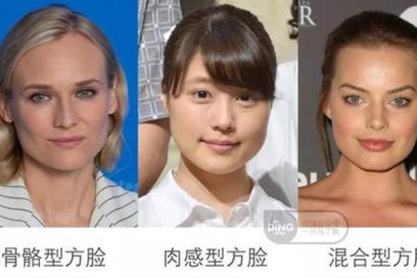 探索头型与命格的奥秘：如何通过面相知己知命