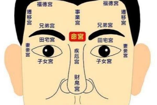 探索头型与命格的奥秘：如何通过面相知己知命