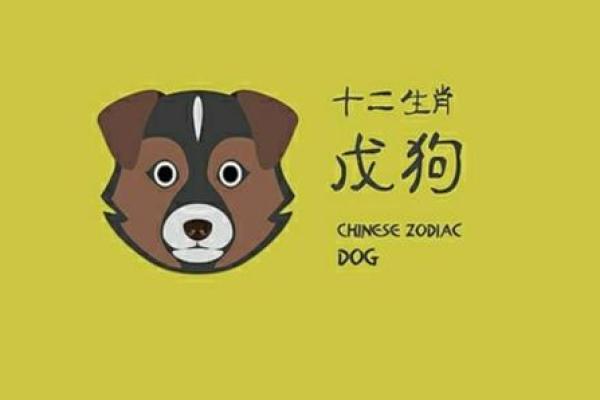 2018年属相狗的命理分析与生活建议