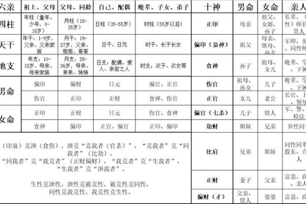 探寻女木命的最佳相合，寻找生命中的和谐美好