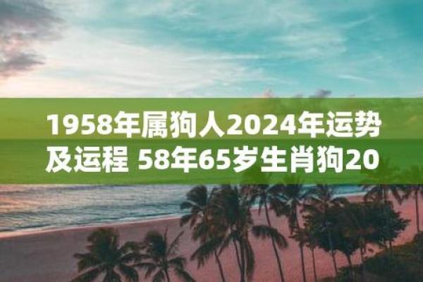 1958年：解读属狗人的命运人生与财富运势