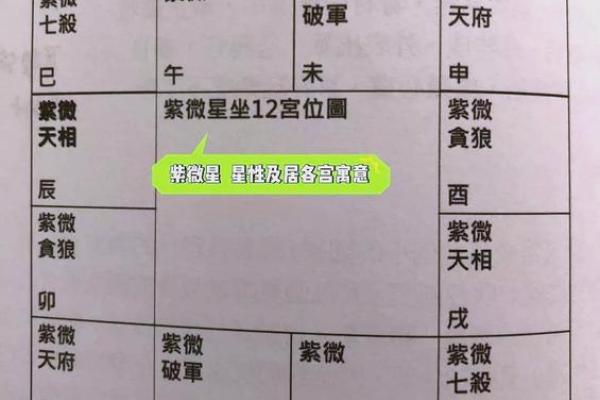 揭开紫薇入命的秘密：命理与人生的深度掌握