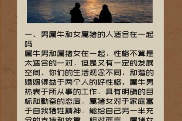 94年属猪的命运解析：从性格到事业的全面剖析