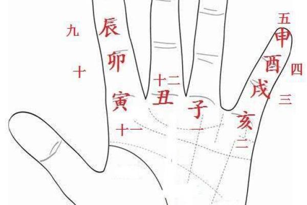 1986年腊月出生的命格分析与人生运势探究