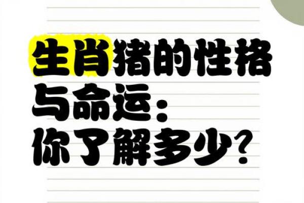 11月属猪人的性格解析与命运发展探讨