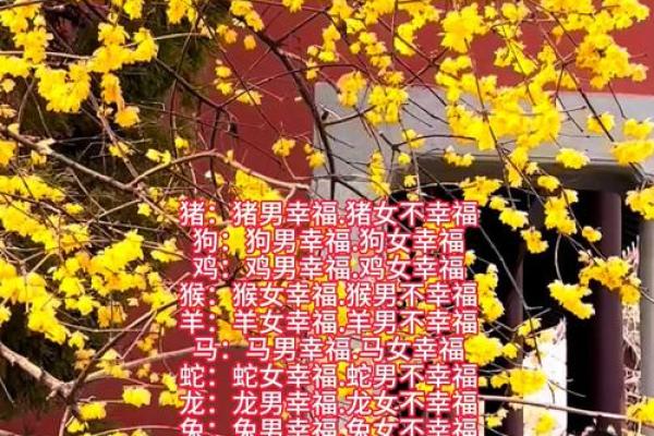 86年属虎命与配偶选择：幸福婚姻的秘密解读
