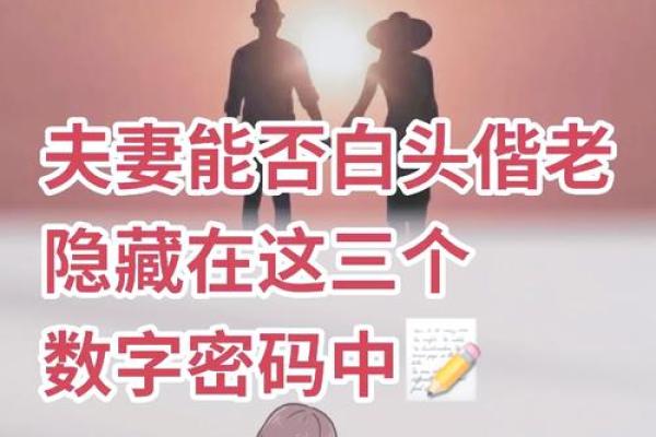86年属虎命与配偶选择：幸福婚姻的秘密解读