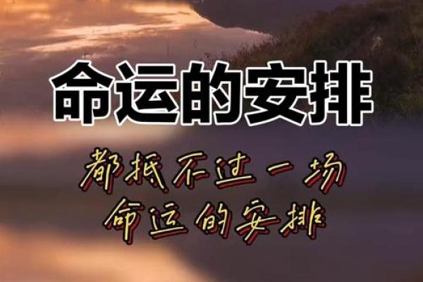 人生如戏，命理如悬：如何掌控命运的游戏？