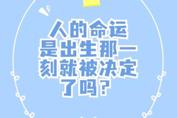 人生如戏，命理如悬：如何掌控命运的游戏？