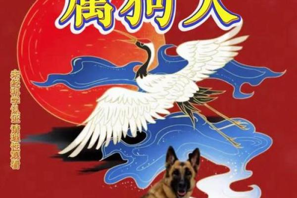 深入解析1946年属狗的命运与性格特点：掌握生活的关键智慧