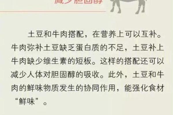 牛肉禁忌：八大原因揭示为何某些人无法享用美味牛肉