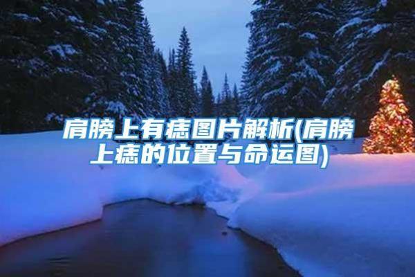 揭秘白蜡金男人的命运：如何增强运势与成功之道