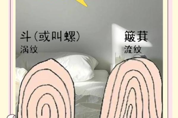 指纹背后的命运密码：你真的了解自己的指纹吗？