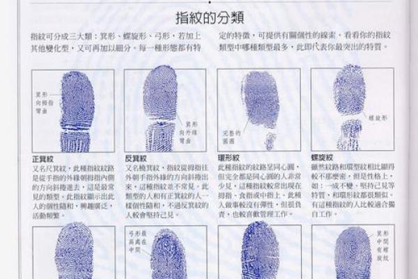 指纹背后的命运密码：你真的了解自己的指纹吗？