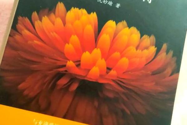 探索祈祷的意义与用途：让心灵得到宁静的力量