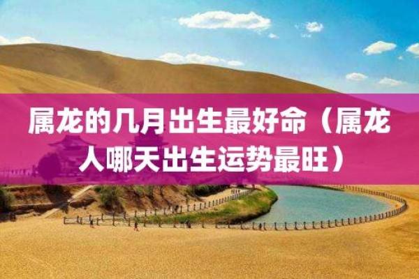 2004年属什么命：揭示龙年出生者的性格与命运