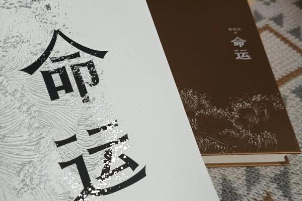 命运的航船：命与运的深层解读与真实故事分享