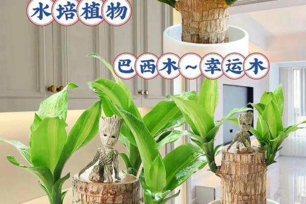 适合木命人的植物选择，助你运势旺盛！
