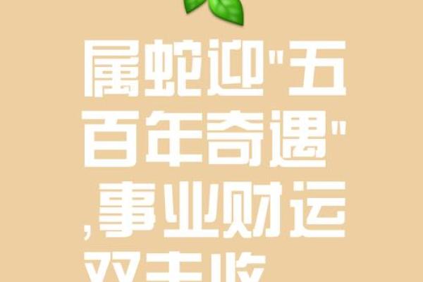 生肖蛇的命格解析：揭秘你的天生特质与运势走向