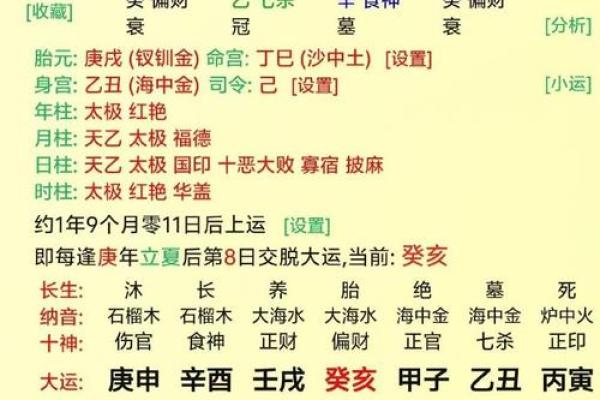 庚申年正月生人命运解析：与众不同的命格与人生旅程