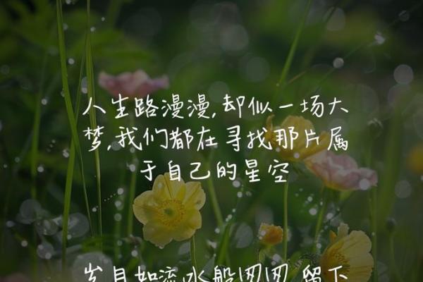 梦境中的预兆与人生的神秘之旅：解密“做梦应验”的命理学