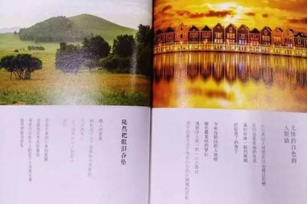 用生命去歌唱——探寻《拿命唱》的情感深度与艺术魅力