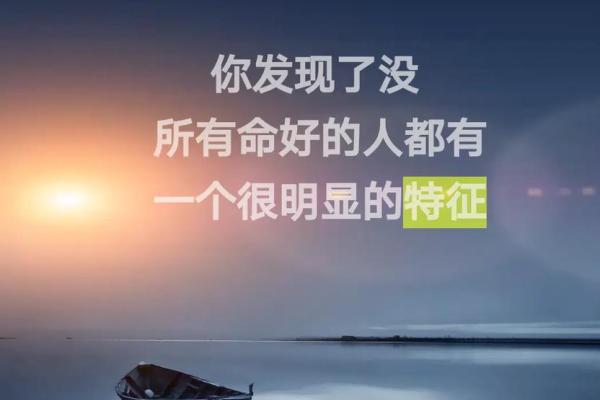 命的价值：在逆境中发现生命的美好与珍贵