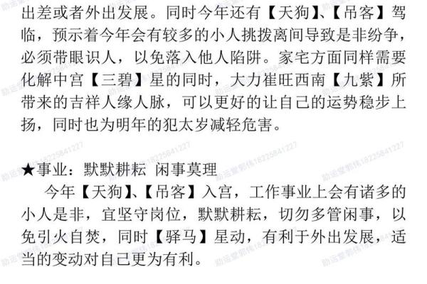 98年寅虎的命格解析与人生思考