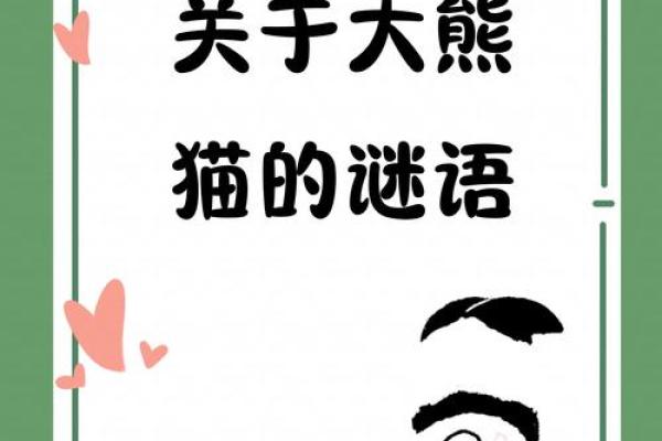 揭秘熊猫命：看相与命理的奇妙结合