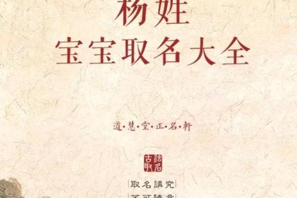 1995年出生的杨姓命运解析：揭开命理背后的秘密与机遇