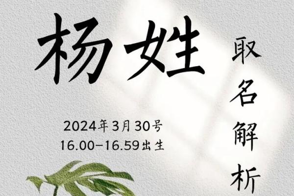 1995年出生的杨姓命运解析：揭开命理背后的秘密与机遇