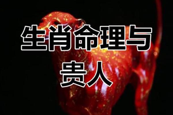 揭秘26岁属相命运：与生俱来的性格与命格分析