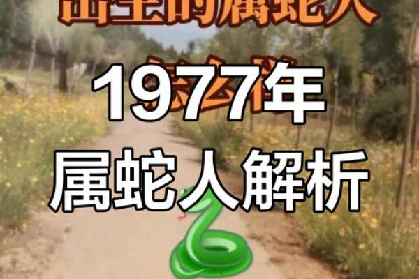 女人蛇出生的命运及人生特征分析