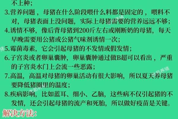 1999年出生的猪命运解析：如何在生活中找到自己的方向