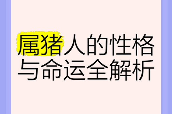 1999年出生的猪命运解析：如何在生活中找到自己的方向
