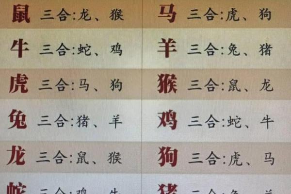 1991年出生的你，命理和生肖这一年如何相配？